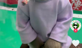 幼幼视频,捕捉宝宝成长瞬间，温馨回顾